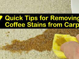 removing coffee stains from carpet