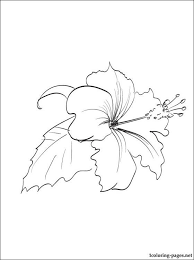 Download 741 hibiscus coloring stock illustrations, vectors & clipart for free or amazingly low rates! Hibiscus Coloring Page Coloring Pages Flower Outline Flower Outline Tattoo