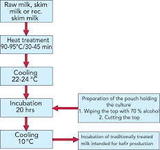 Fermented Milk Products Dairy Processing Handbook