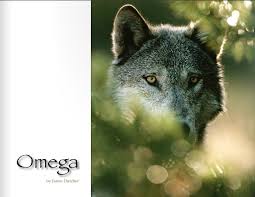The Omega Living With Wolves
