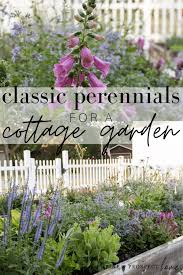 Classic Perennials For A Cottage Garden