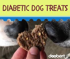 diabetic dog treats doobert com
