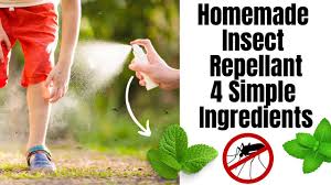 homemade insect repellent two