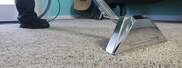 which carpet cleaning company is the best