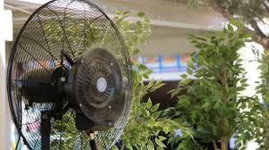 Cool With Electric Fan