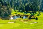 Fore! Plan a Haliburton Highlands Golf Vacation | Sir Sam