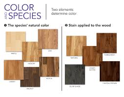 colors species wood dalene
