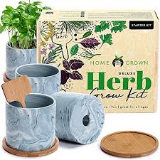 Indoor Herb Garden Starter Kit Herb