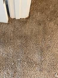 dr spot carpet cleaning flooring