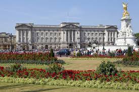 buckingham palace things to see in london
