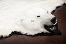 polar bear skin rugs furcanada