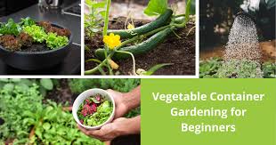 Vegetable Container Gardening For