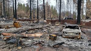 Image result for wildfire damage