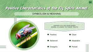 fly spirit symbolism meaning
