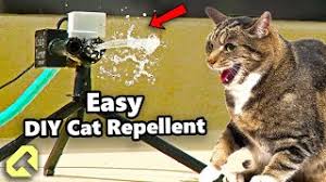 how to make a cat repellent for under