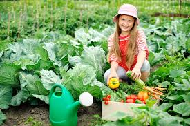herbicides for your vegetable garden