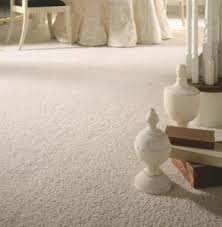 professional carpet cleaning bailey co
