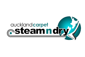 p cleaning auckland steam n dry