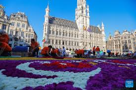 flower carpet 2022 held in brussels