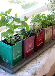 21 Diy Indoor Herbs Garden Ideas