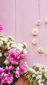 pink and white flowers wood background