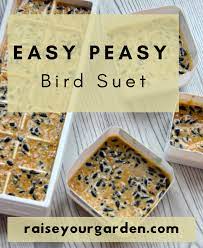 diy simple suet recipe for the birds