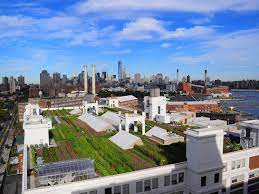 Best Rooftop Gardens And Urban Farms In