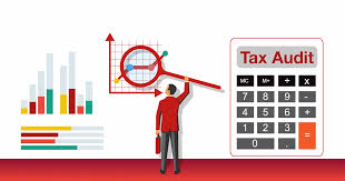 What is a tax audit and to whom is it applicable?