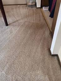 greenworks carpet cleaning