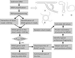 Mda Protocol And Flow Chart Of Experiment A The Normal