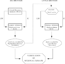 Flow Chart Of The Big Brother Experimental Protocol The