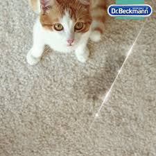 dr beckmann carpet stain remover 650ml