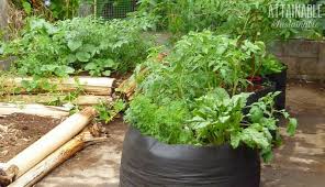 grow bags for easy raised beds in your