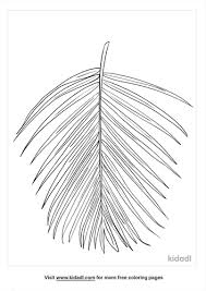 They will be fun to color and add an interesting element to summer, fantasy or jungle themed crafts. Palm Leaf Coloring Pages Free Nature Coloring Pages Kidadl