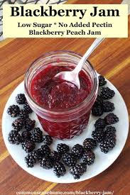 blackberry jam recipe low sugar