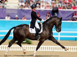In classical dressage training and performances that involve the airs above the ground (described below), the baroque breeds of horses are popular and purposely bred for these specialties. U8c Ioi1jydi8m