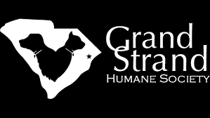 www.grandstrandhumanesociety.com gambar png