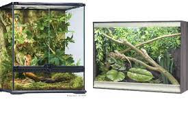 Terrarium Vs Vivarium What S The