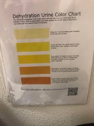Dont Forget To Check The Pee Chart Hydrohomies