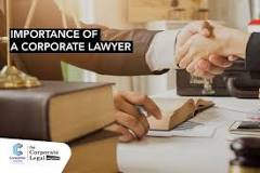 Image result for why should a lawyer protect corporate governance