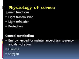 ppt corneal refractive surgery