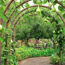 You can customize the size to suit the needs of your garden as well. 24 Easy Diy Garden Trellis Ideas Plant Structures A Piece Of Rainbow
