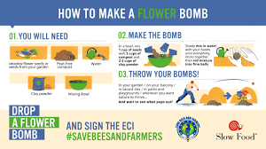 How to Make A Flower Bomb? - Slow Food International