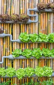 53 Best Diy Vertical Garden Ideas The