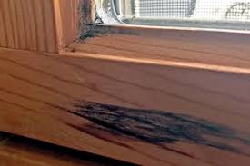 prevent mold growth on window sills
