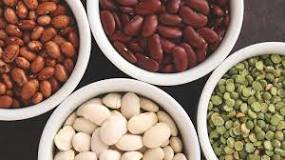 Which bean is the healthiest?