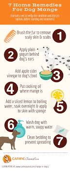 natural remes for mange in dogs