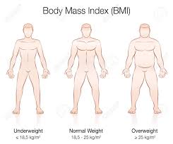 Body Mass Index Bmi Underweight Normal Weight And Overweight