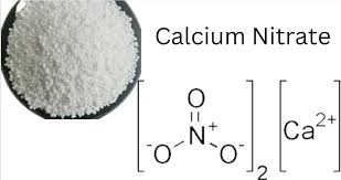 Calcium Nitrate Formula Molar Mass And
