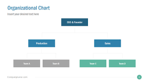 business organizational chart ppt